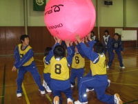 hCOQ