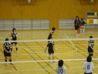 qo[