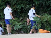 グラウンド清掃、草刈